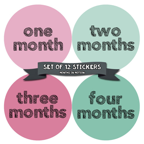 Months In Motion - Baby Month Stickers - Monthly Baby Sticker for Girls (815)