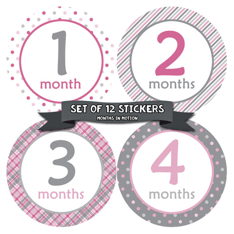 Monthly Baby Stickers Baby Girl Months 1-12 Milestone Sticker