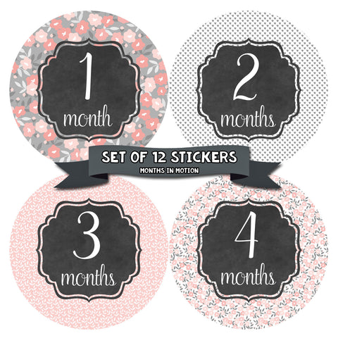 Monthly Baby Stickers 12 Month Milestone Sticker for Newborn Babies Girl
