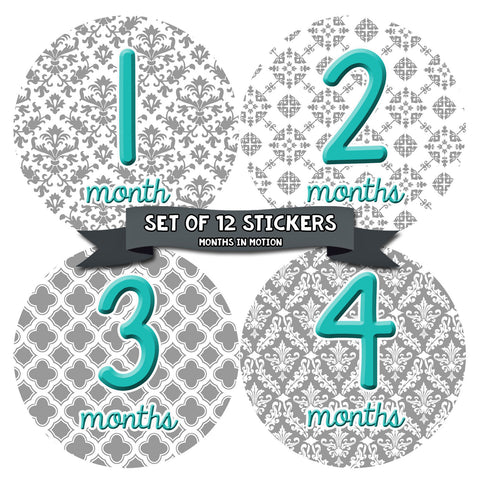 Months in Motion 044 Monthly Baby Stickers Baby Girl Milestone Age Month Sticker