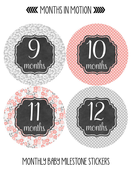 Monthly Baby Stickers 12 Month Milestone Sticker for Newborn Babies Gi –  Months In Motion