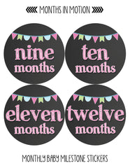 Months in Motion 334 Monthly Baby Stickers Baby Girl Months 1-12 Chalkboard - Monthly Baby Sticker