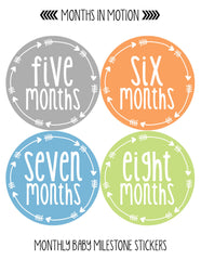 Monthly Baby Stickers Baby Boy Month 1-12 Milestone Sticker - Monthly Baby Sticker