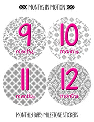 MONTHS IN MOTION Monthly Newborn Baby GIRL Milestone Photo Prop Stickers