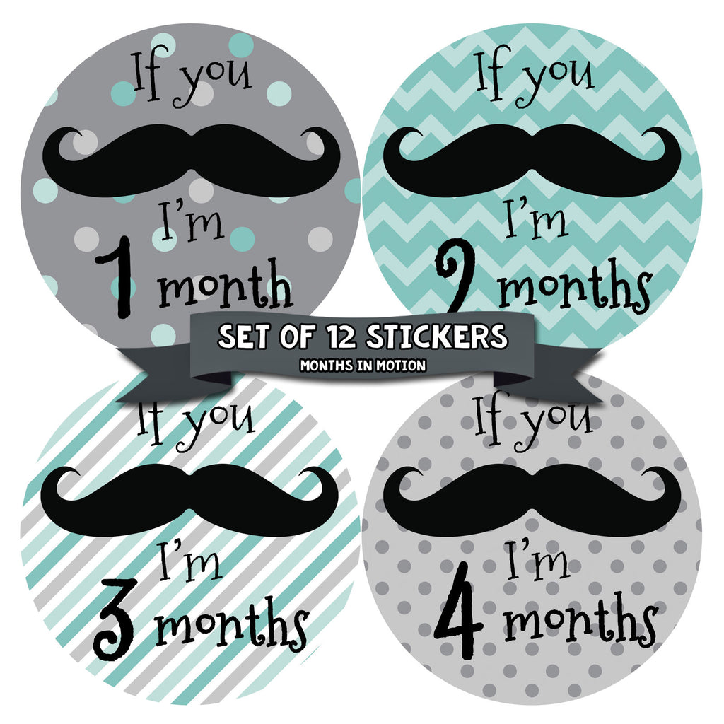 Months in Motion Monthly Baby Stickers Baby Boy Milestone Sticker