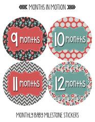 Months in Motion 407 Monthly Baby Stickers Girl Monthly Photo Milestone Month - Monthly Baby Sticker