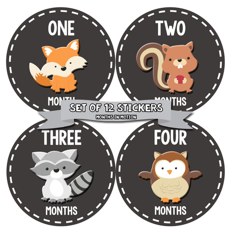 MONTHS IN MOTION Monthly Baby Stickers Infant UNISEX Month Milestone Photo Prop