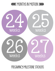 Months In Motion Pregnancy Week By Week Belly Stickers Set of 36 Photo Sticker