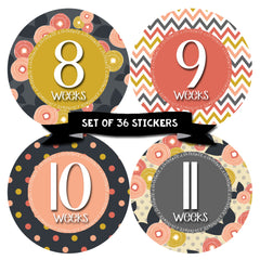 Pregnancy Week By Week Belly Stickers | Large Set of 36 Weekly Photo Sticker