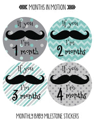 Months in Motion Monthly Baby Stickers  Baby Boy  Milestone Sticker (217) - Monthly Baby Sticker