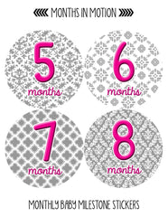 MONTHS IN MOTION Monthly Newborn Baby GIRL Milestone Photo Prop Stickers