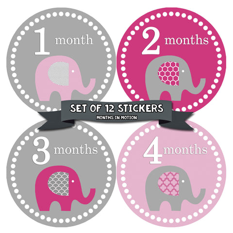 Monthly Baby Stickers Baby Girl Month 1-12 Milestone Age Sticker Photo Prop