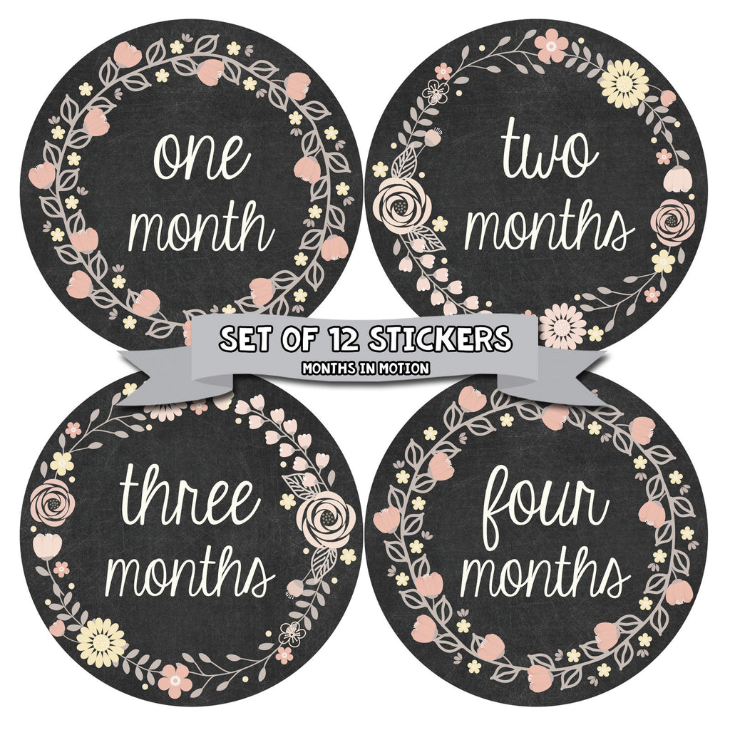 Months in Motion 356 Monthly Baby Stickers Baby Girl - Months 1-12 - Chalkboard - Monthly Baby Sticker