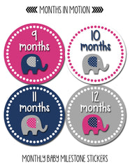 Months in Motion 325 Monthly Baby Stickers Baby Girl Elephants Months 1-12 - Monthly Baby Sticker
