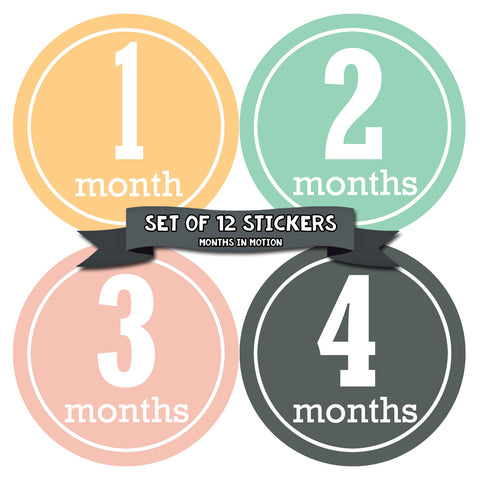 Months in Motion 170 Monthly Baby Stickers Milestone Newborn Girl Pink