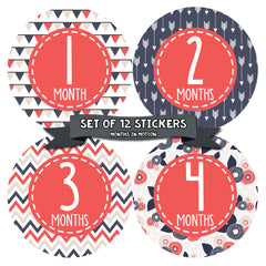 Months in Motion 365 Monthly Baby Stickers Baby Girl Months 1-12 Milestone - Monthly Baby Sticker