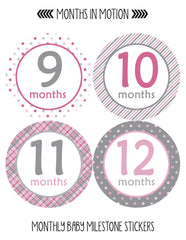 Monthly Baby Stickers Baby Girl Months 1-12 Milestone Sticker - Monthly Baby Sticker