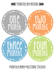 Monthly Baby Stickers Baby Boy Month 1-12 Milestone Sticker - Monthly Baby Sticker