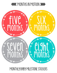 Months in Motion Monthly Baby Stickers Baby Boy or Baby Girl Milestone sticker - Monthly Baby Sticker