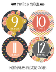 Months in Motion 385 Monthly Baby Stickers Baby Girl Milestone Sticker - Monthly Baby Sticker