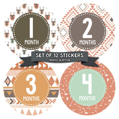 Months in Motion 383 Monthly Baby Stickers Baby Boy Girl Months 1-12 - Monthly Baby Sticker