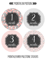 Monthly Baby Stickers 12 Month Milestone Sticker for Newborn Babies Girl - Monthly Baby Sticker