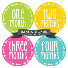 MONTHS IN MOTION Monthly Newborn Baby GIRL Milestone Photo Prop Stickers