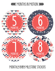 Months in Motion 365 Monthly Baby Stickers Baby Girl Months 1-12 Milestone - Monthly Baby Sticker