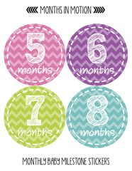 Months in Motion 250 Monthly Baby Stickers Baby Girl Milestone Sticker - Monthly Baby Sticker