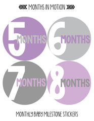 Months in Motion 296 Baby Month Stickers Baby Girl Months 1-12 Purple Grey - Monthly Baby Sticker
