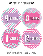 Months in Motion 409 Monthly Baby Stickers Girl Monthly Photo Milestone Month - Monthly Baby Sticker