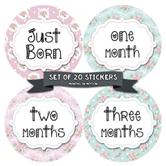 MONTHS IN MOTION Monthly Newborn Baby GIRL Milestone Stickers DELUXE SET