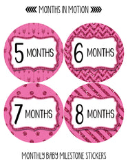 Months in Motion 802 Monthly Baby Stickers Baby Girl Months 1-12 Glitter - Monthly Baby Sticker