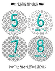 Months in Motion 044 Monthly Baby Stickers Baby Girl Milestone Age Month Sticker - Monthly Baby Sticker