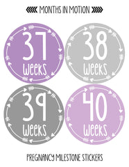 MONTHS IN MOTION Pregnancy Week By Week Belly Photo Stickers Baby Bump Maternity