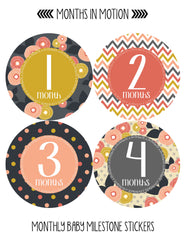 Months in Motion 385 Monthly Baby Stickers Baby Girl Milestone Sticker - Monthly Baby Sticker