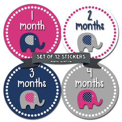 Months in Motion 325 Monthly Baby Stickers Baby Girl Elephants Months 1-12 - Monthly Baby Sticker