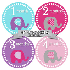 MONTHS IN MOTION Monthly Baby Stickers Newborn Infant GIRL Milestone Photo Prop - Monthly Baby Sticker