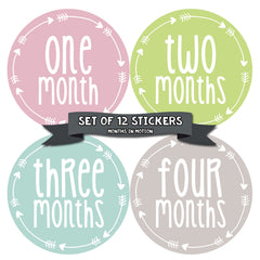 MONTHS IN MOTION Monthly Newborn Baby GIRLS Milestone Photo Prop Stickers