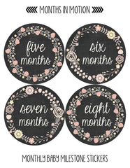 Months in Motion 356 Monthly Baby Stickers Baby Girl - Months 1-12 - Chalkboard - Monthly Baby Sticker