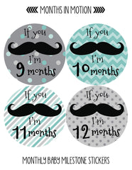 Months in Motion Monthly Baby Stickers  Baby Boy  Milestone Sticker (217) - Monthly Baby Sticker