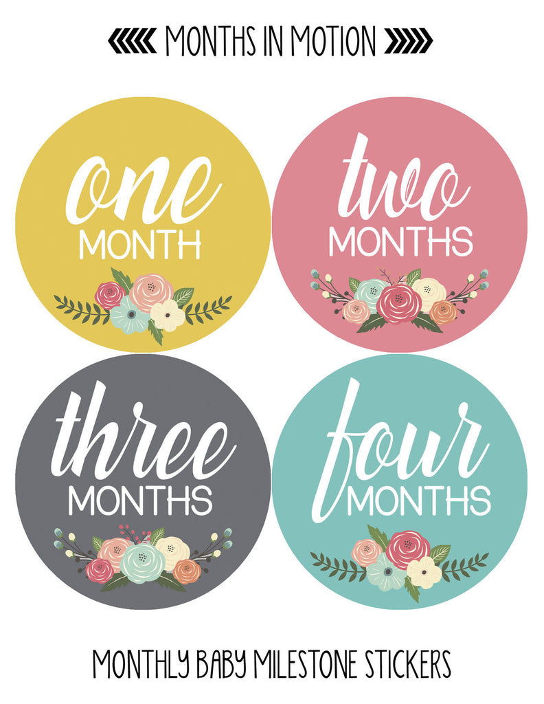 Months In Motion - Baby Month Stickers - Monthly Baby Sticker for Girl