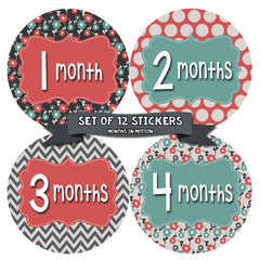 Months in Motion 407 Monthly Baby Stickers Girl Monthly Photo Milestone Month - Monthly Baby Sticker