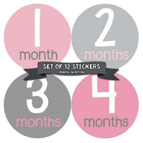 Months in Motion 159 Monthly Baby Stickers Baby Girl Pink Grey 12 Months