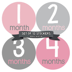 Months in Motion 159 Monthly Baby Stickers Baby Girl Pink Grey 12 Months - Monthly Baby Sticker