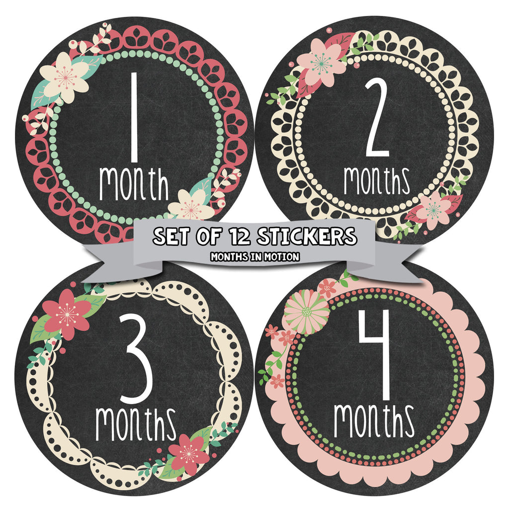 Months in Motion 352 Monthly Baby Stickers Baby Girl - Months 1-12 - Chalkboard - Monthly Baby Sticker