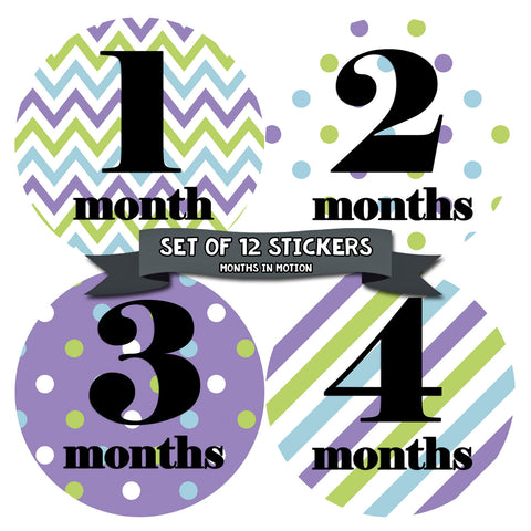 Months in Motion 090 Monthly Baby Stickers Baby Girl Month 1-12 Milestone Age