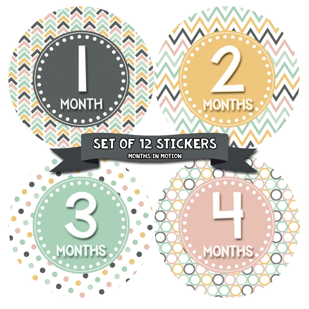 Months in Motion 417 Monthly Baby Stickers Girl Monthly Photo Milestone Month - Monthly Baby Sticker