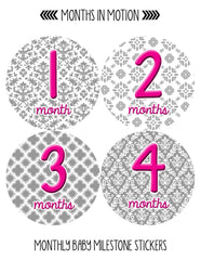 MONTHS IN MOTION Monthly Newborn Baby GIRL Milestone Photo Prop Stickers