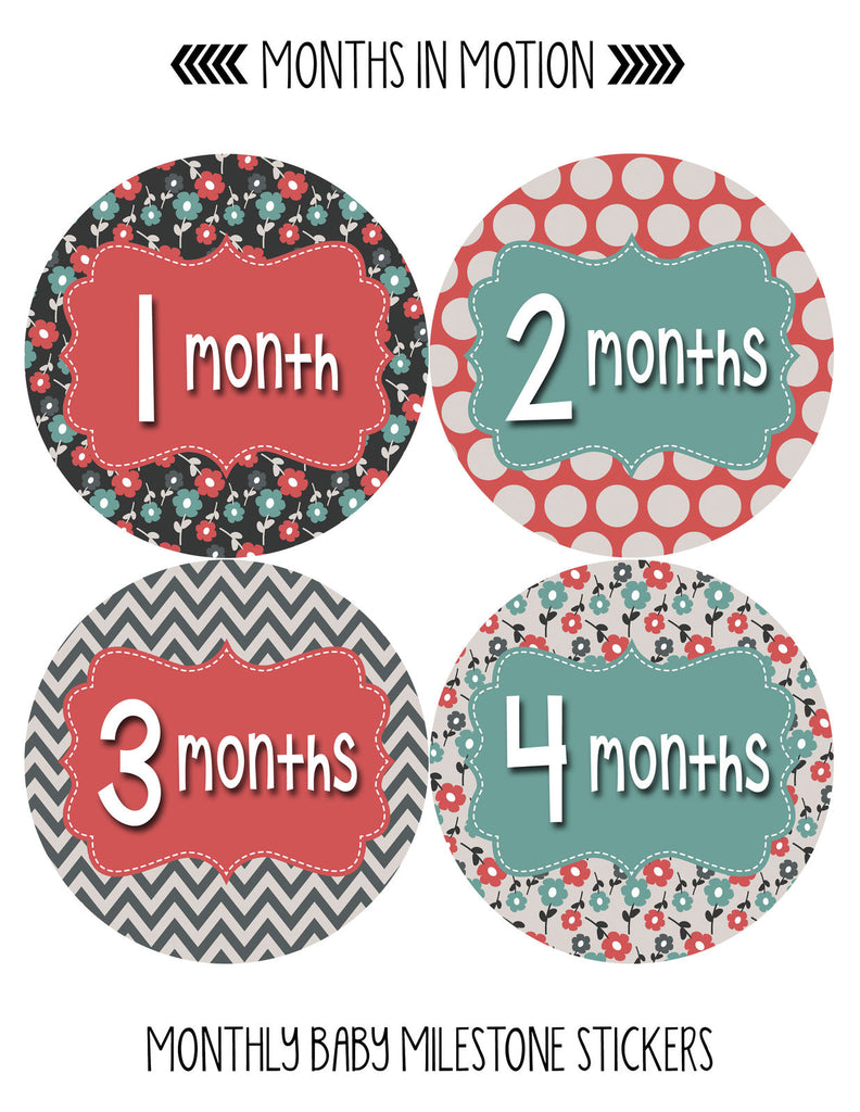 Months in Motion 401 Monthly Baby Stickers Month Girl Monthly